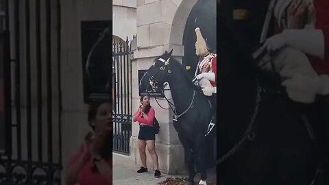 Don't touch the kings life guard guard shouts #horseguardsparade