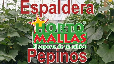 HORTOMALLAS Malla Espaldera para Pepino