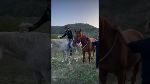 Life in ITALIAN CountrySide is the BEST!🤠