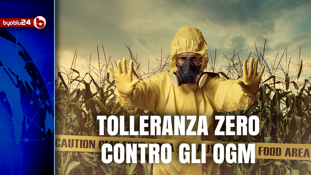 TOLLERANZA ZERO CONTRO GLI OGM E RICONVERSIONE BIOLOGICA DELL'ITALIA – Giuseppe Altieri