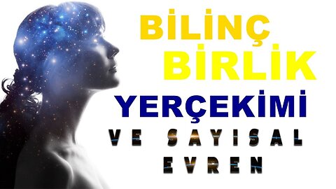 Bilinç, Birlik, Yerçekimi ve Sayısal Evren