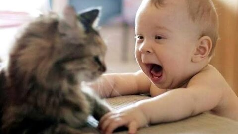 Cat 🐈 and baby playing