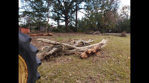 Old Man Hauling Logs and Cleaning Up the Hay Field .