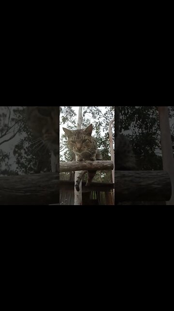 Skippy 22nd April 2023