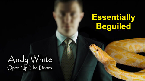 Andy White: Essentially Beguiled