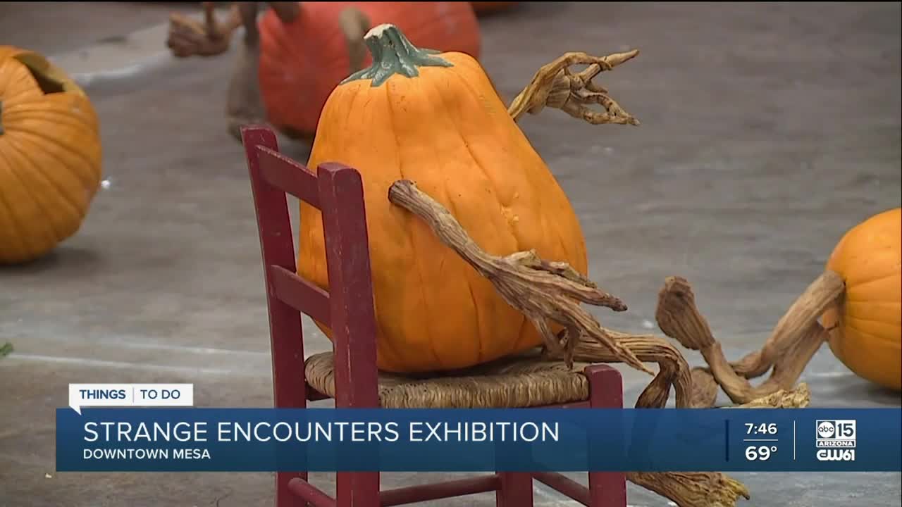 Strange Encounters pumpkin exhibit comes to Mesa