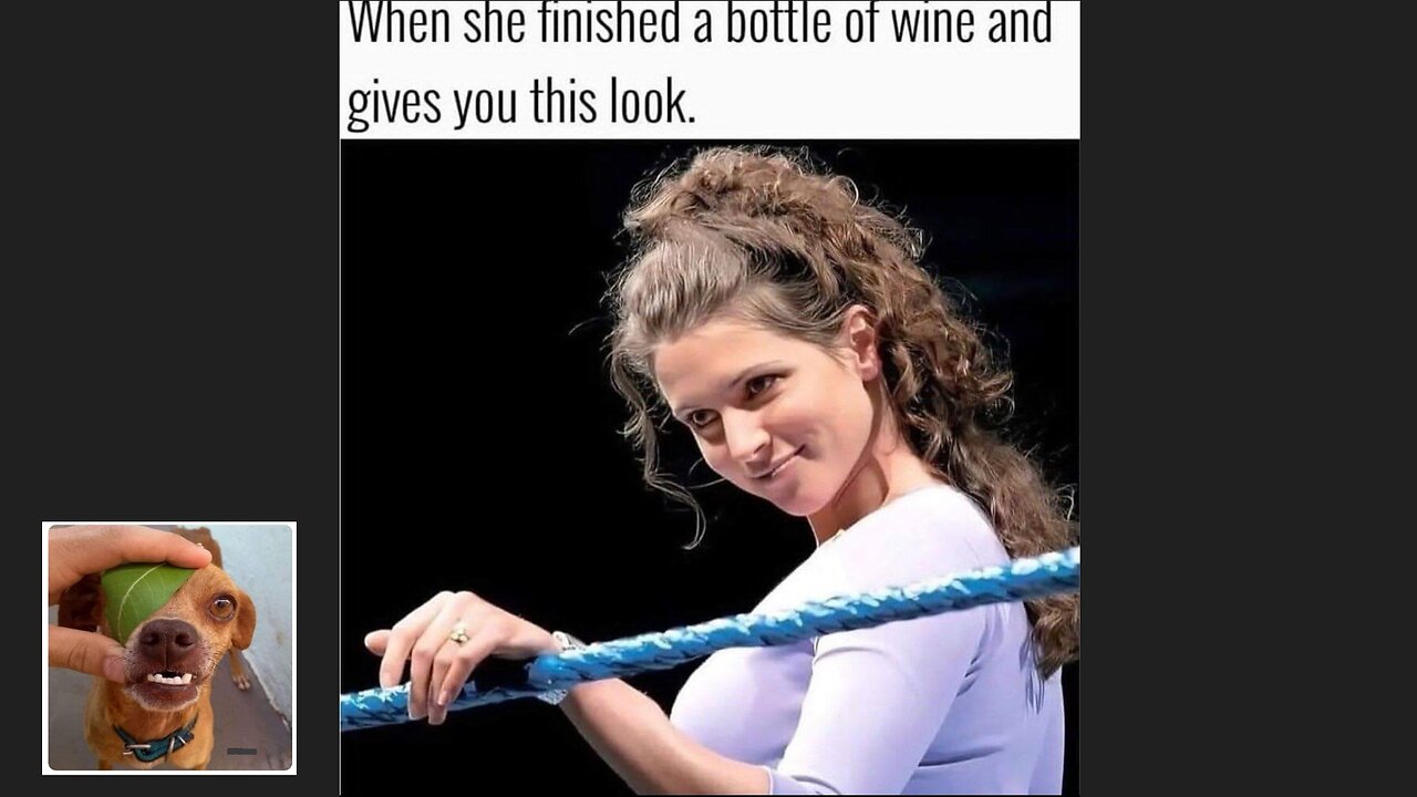 Memes That Will 99.78% Make You Laugh. (e13)