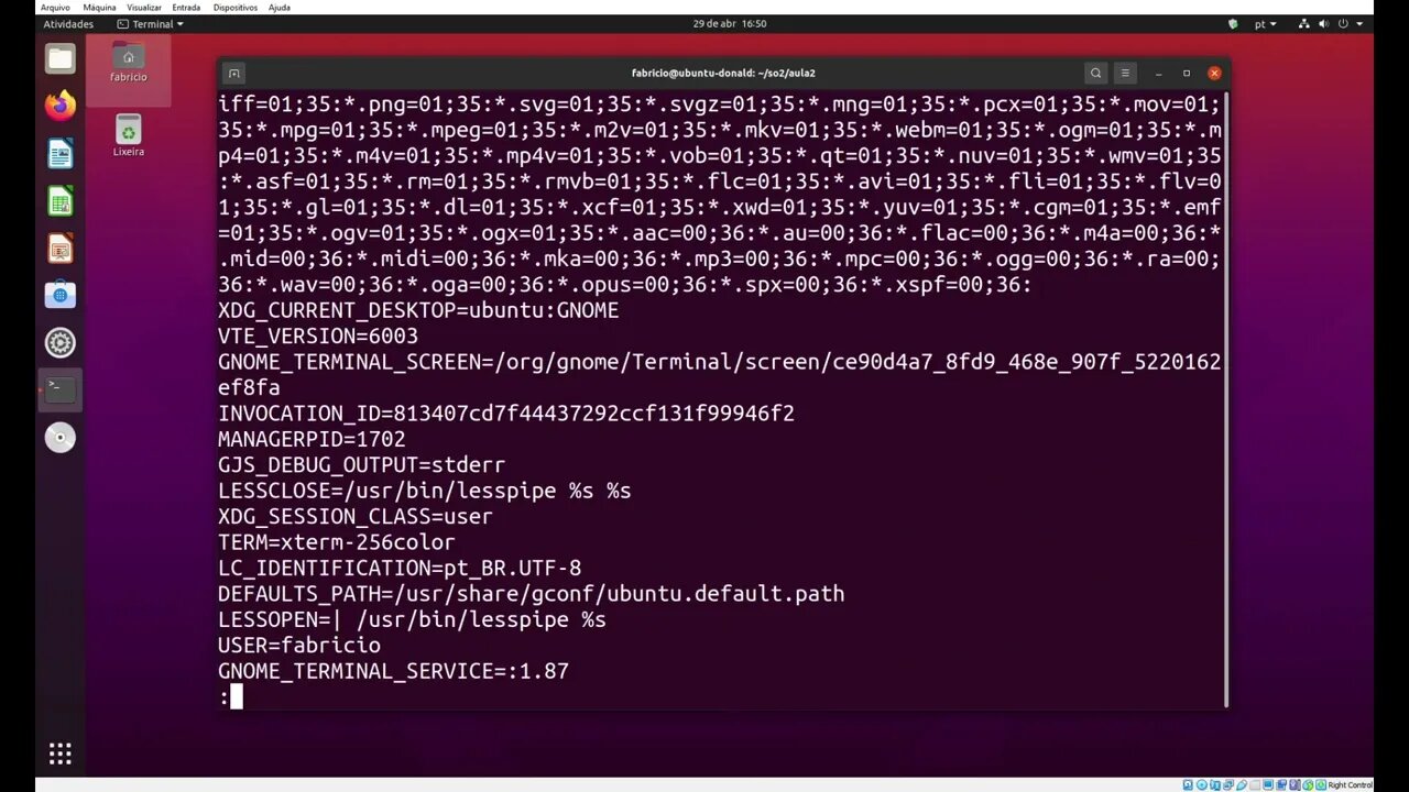print-env.c - Imprimindo Variáveis de Ambiente no Linux