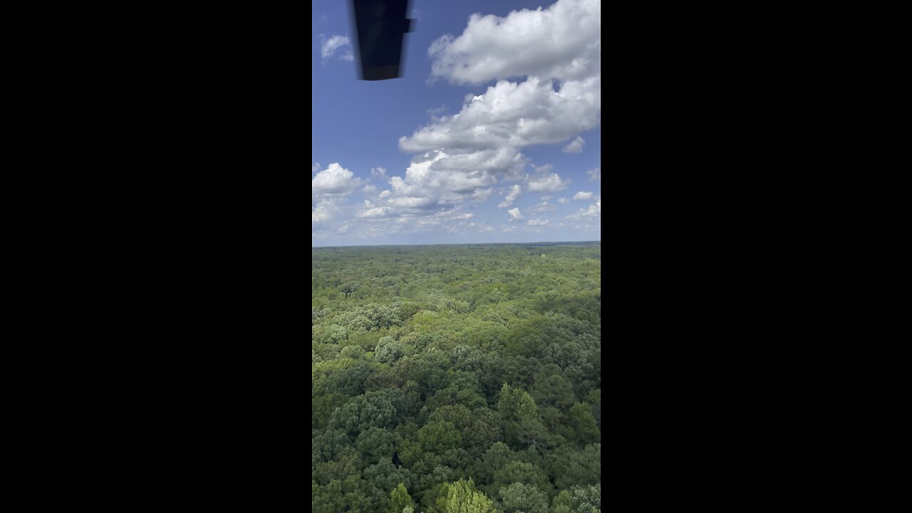 What A View! All the Greenery