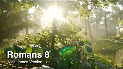 Romans 8 - Audio reading from the KJV Bible