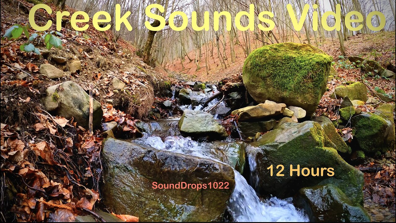 12 Hours Fall Creek Soundscapes for Relaxation