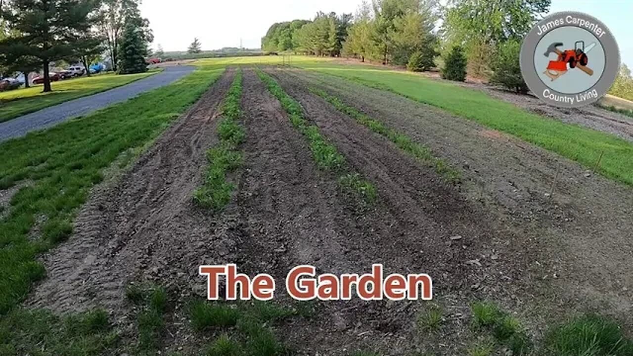 The Garden