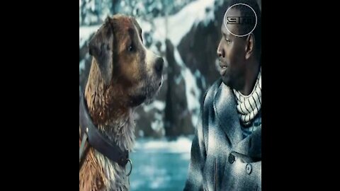 Dogs are man's most faithful friends: Amazing scene