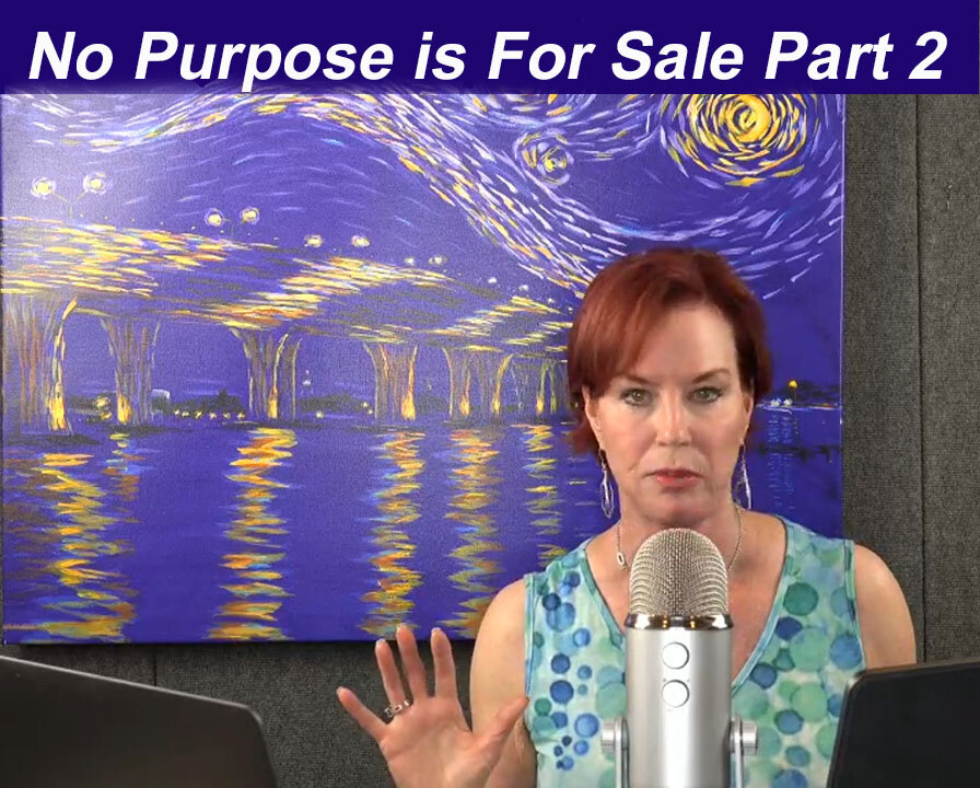 No Purpose is for Sale Part II