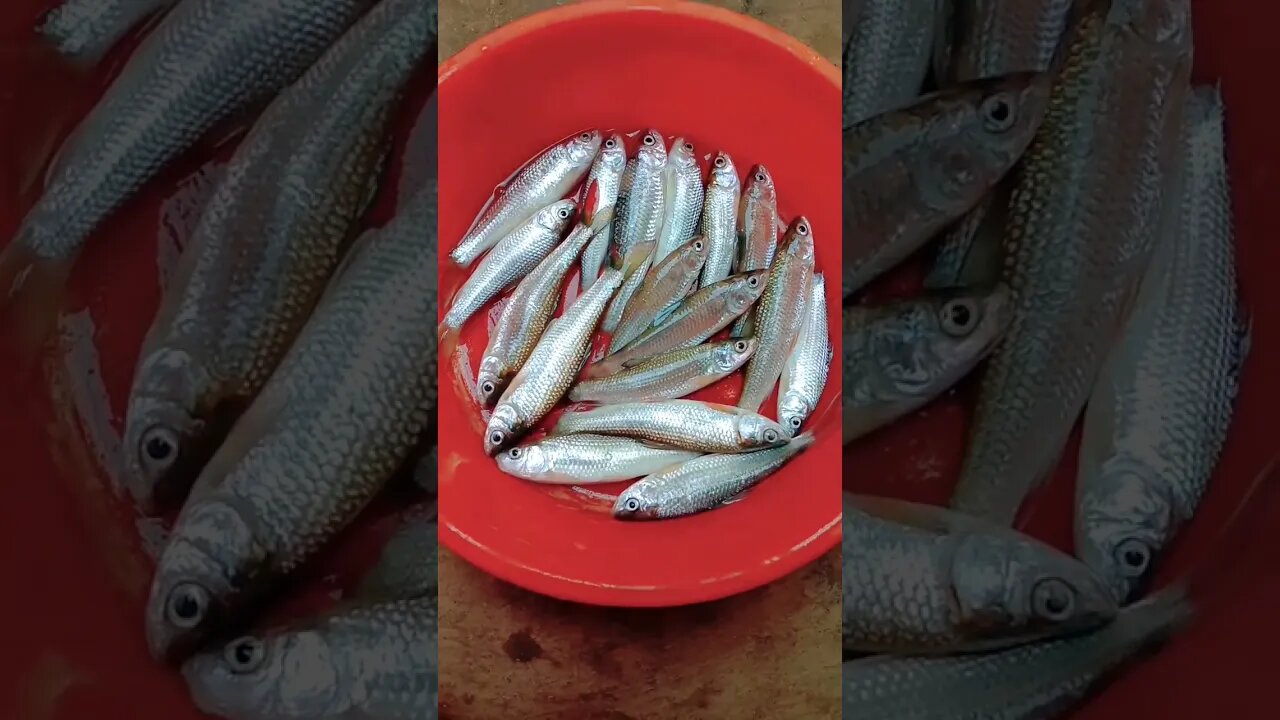 yummy fishππππππ@BENGALCOOKING #shorts #youtubeshorts #viral #viralshorts #trending #trendingshorts