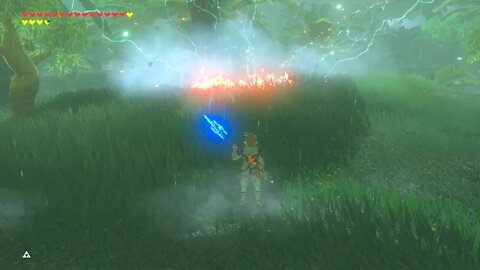 Breath of the Wild Master Mode 109