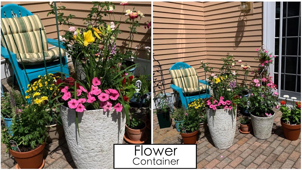 Fast & Easy Gorgeous Flower Container Garden