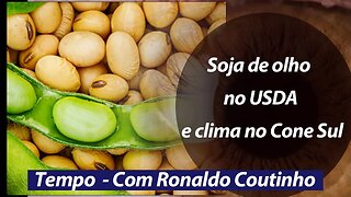 Soja de olho no USDA e clima no Cone Sul