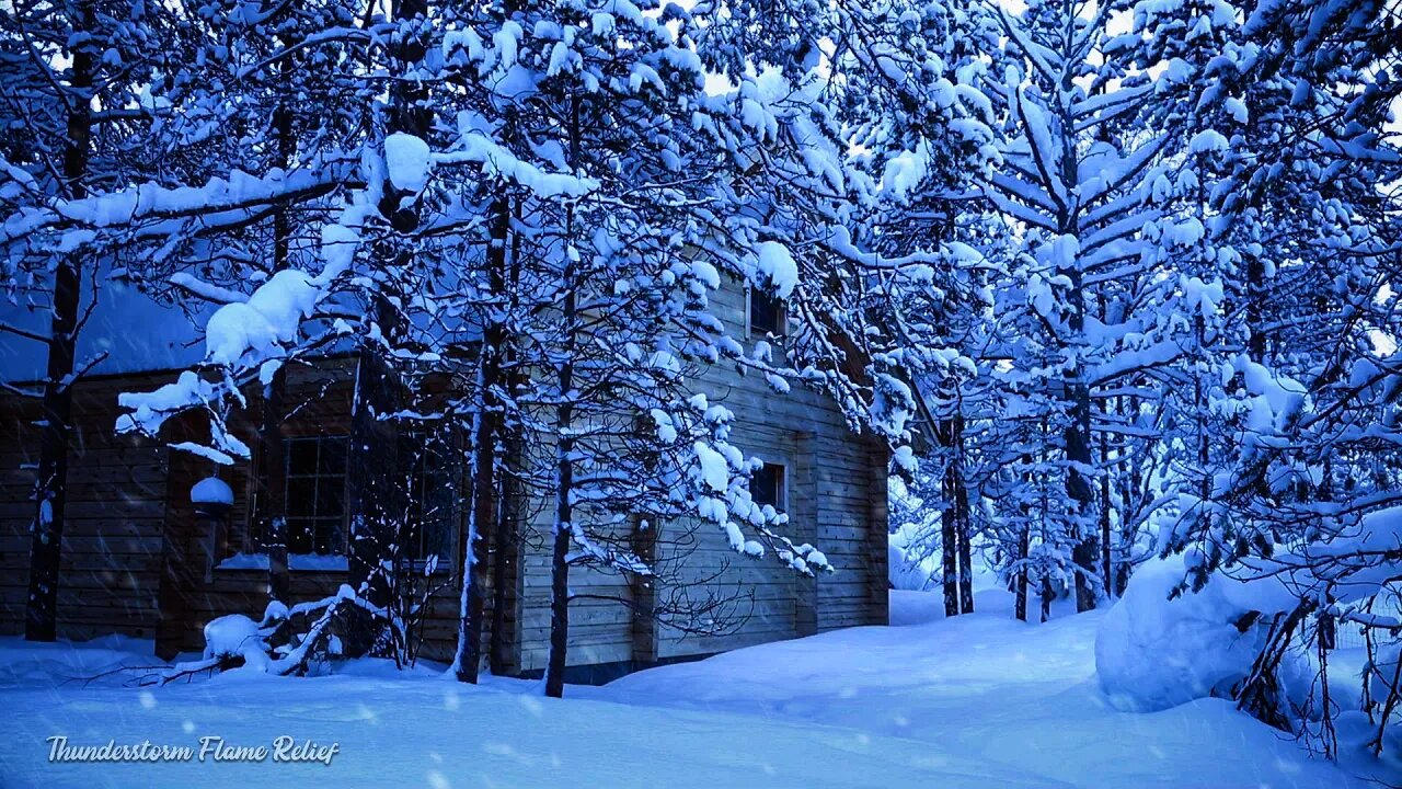 House In The Forest Snowstorm | Howling wind & Blizzard Sounds | Heavy Wind & Snow, Relaxing Sounds