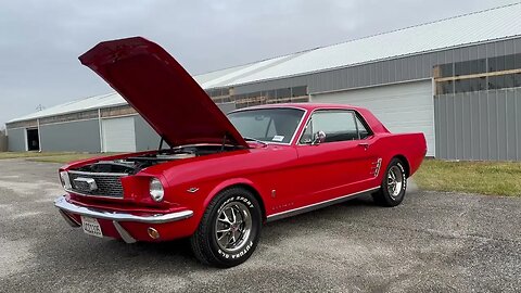 1966 Ford Mustang