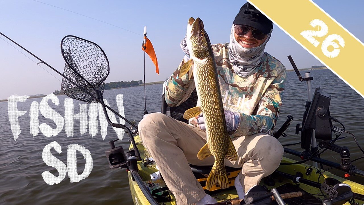 TRUE TROPHY PERCH (14.5") - Kayak Fishing South Dakota for a Mixed Bag