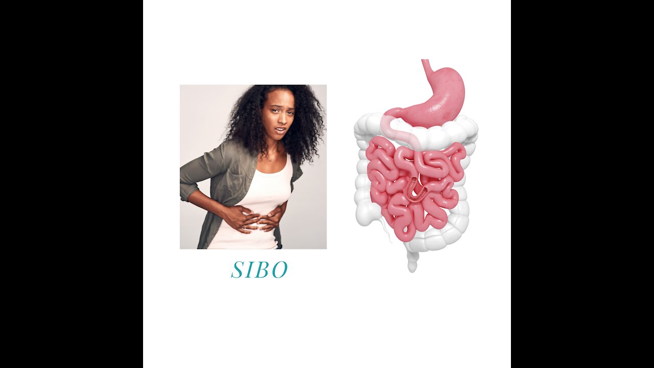 SIBO - What do I do?