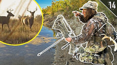 Hunting a BIG BUCK'S pattern! (Bow hunting)