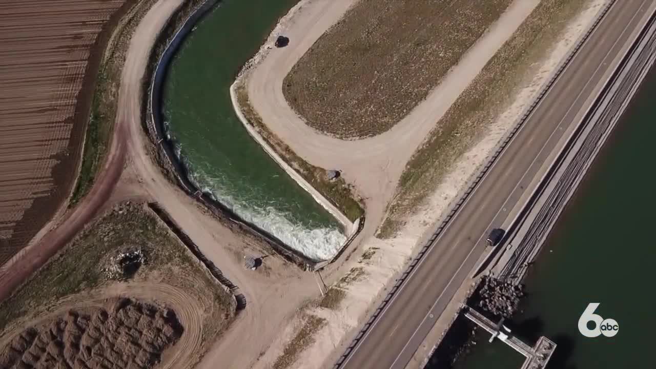 Algae Bloom at Lake Lowell