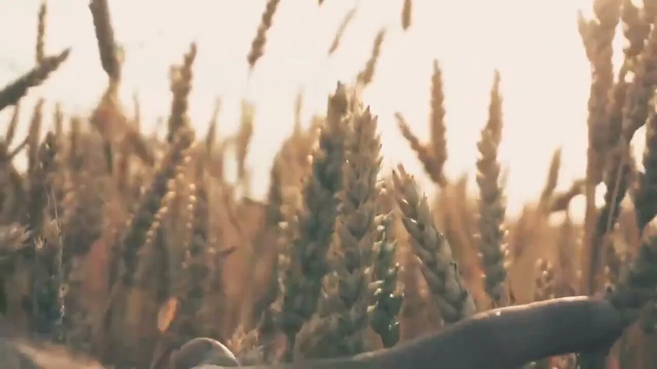 20 de agosto de 2023