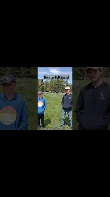 Monster Bull Moose Close!!