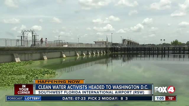 Clean water activists head to D.C. to tackle blue-green algae problem