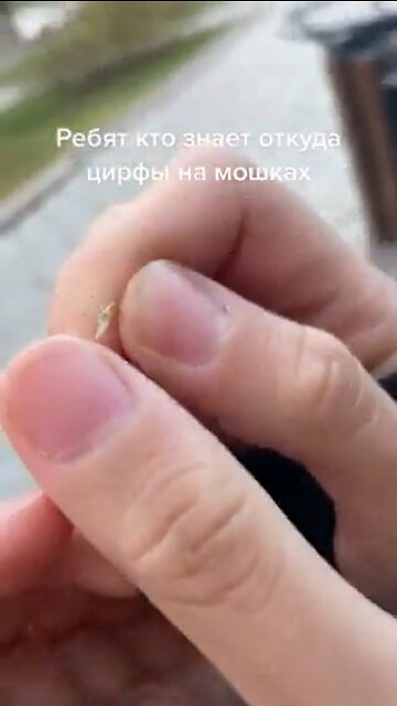 Misquotes with numbers on them. Bill Gates talked about this.