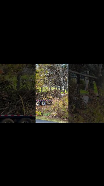 Hurricane Clean Up One Month Later