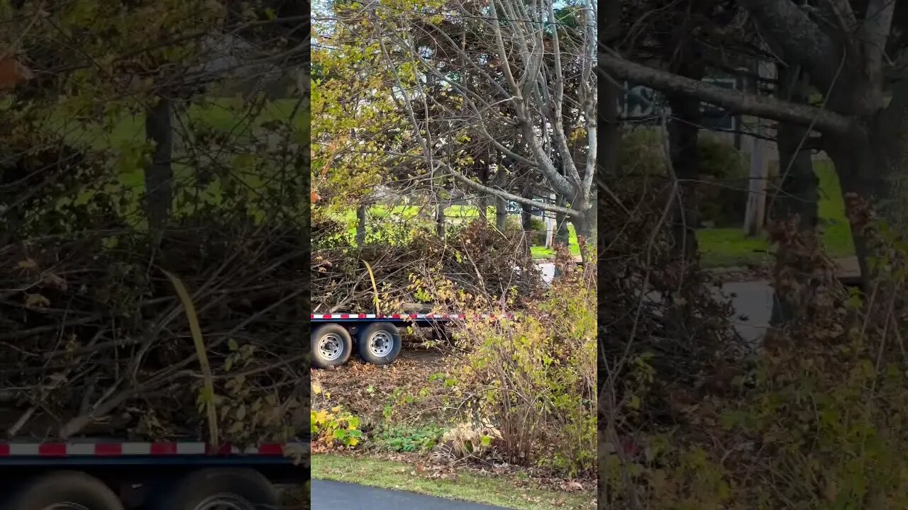 Hurricane Clean Up One Month Later