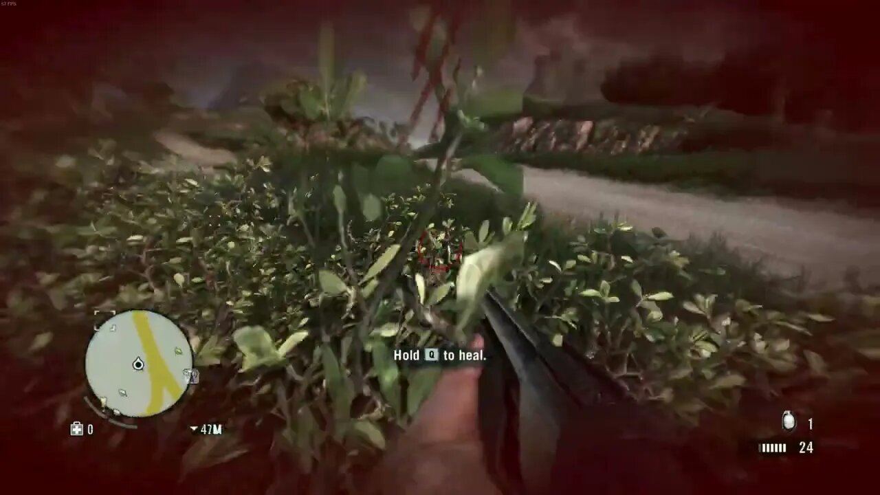 Don't Mess With Leopards