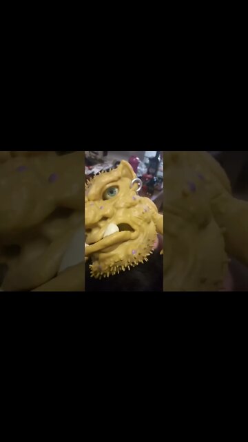 me found kitty! #shorts #shortsvideo #shortsfeed #youtubeshorts #cat #catvideos