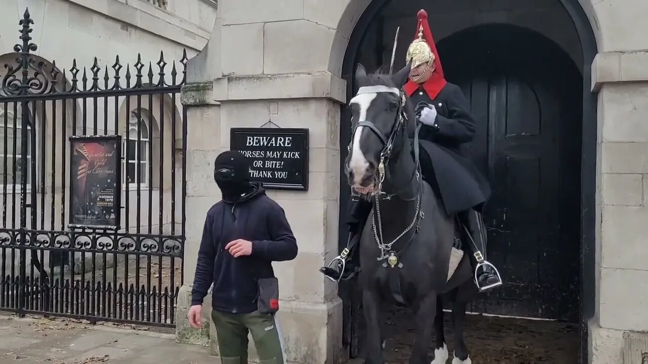 Man wearing full face balaclava grabs the reins The kings guard shouts (STAND BACK) #thekingsguard