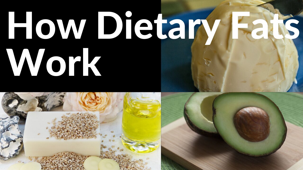 How Dietary Fats Work: The Good, The Bad and The Ugly