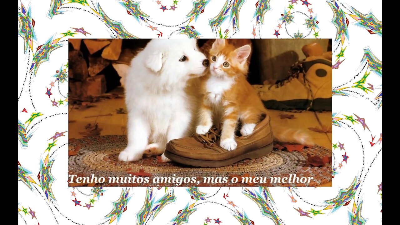 Tenho muitos amigos, mas o meu melhor amigo... [Frases e Poemas]