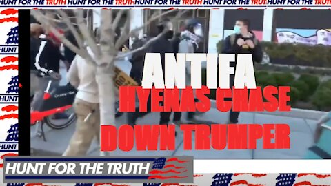 MARCH FOR TRUMP ANTIFA CHASES DOWN TRUMP SUPPPORTERS