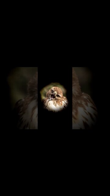 Touchstone Pixels Promo