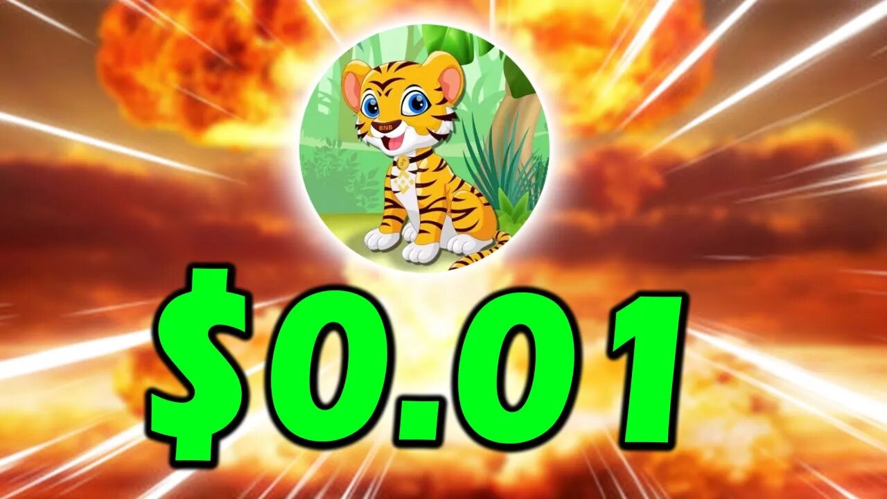 BNB TIGER $0.01 PRICE TARGET!! BNB TIGER INU WILL BE LIFE CHANGING!!