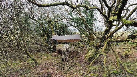 test footage before filming taking down the tarp . GoPro 26th March 2023