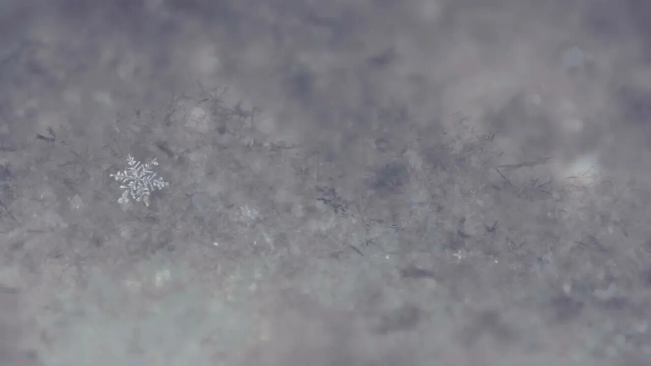 Beachfront B Roll Snowflake Free to Use HD Stock Video Footage