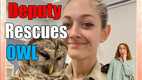 Virginia Officer Rescues Owl from Between a Cab and Bed Of Truck