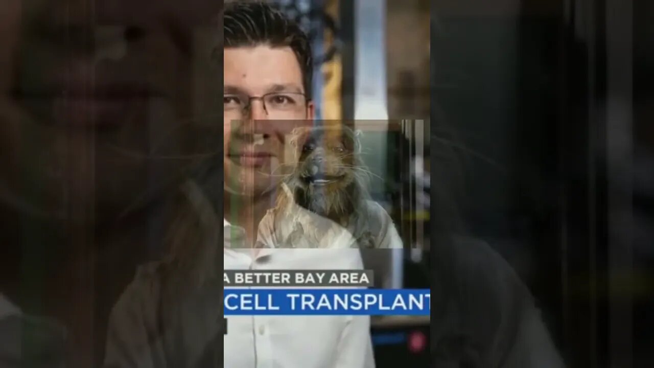 mad scientists are at it again stay away from rats!!!!!!!!!!!