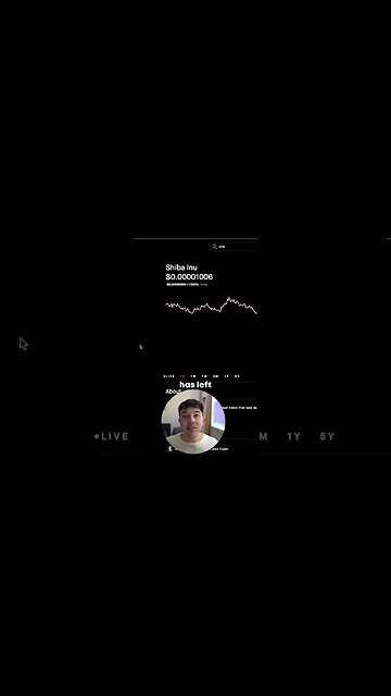 This Is Why Shiba Inu Coin Is CRASHING