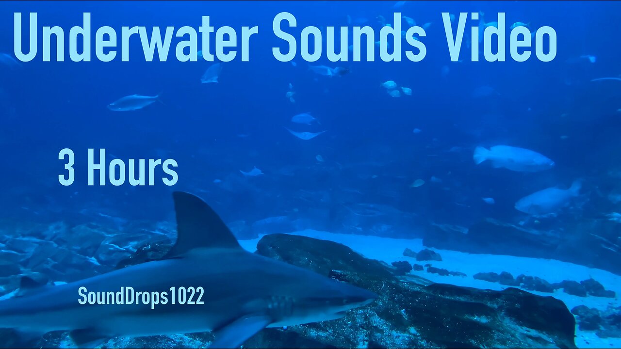 Escape Reality With 3 Hours Of Underwater Sounds Video