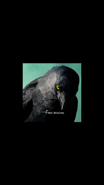 Shadows Lurking #newmusic #music #horror #backgroundmusic