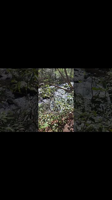 Another River along my Morning Hike on a Nature Trail in the Smoky Mountains